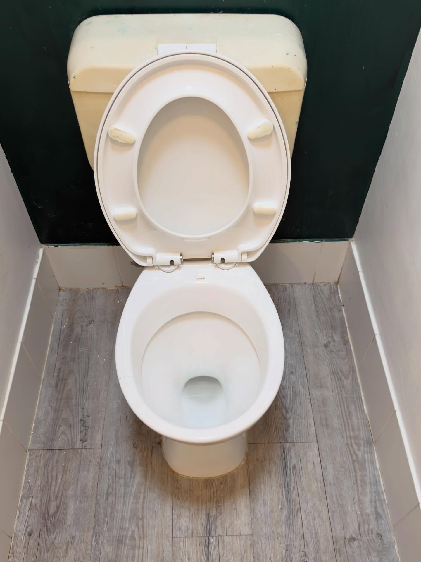 Toilet cleaned by Franklean after a cleaning service